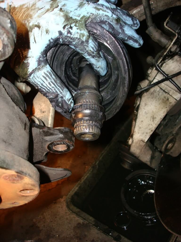 Name:  DSC01052.jpg
Views: 5565
Size:  184.4 KB