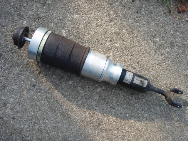 Name:  P8050210.jpg
Views: 318
Size:  127.4 KB