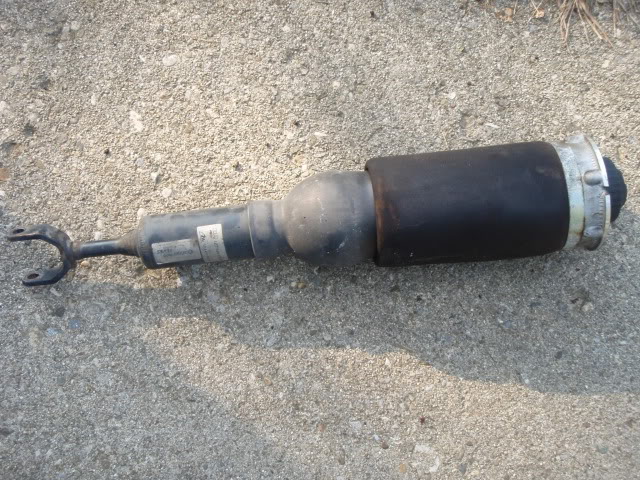 Name:  P8050204.jpg
Views: 257
Size:  129.5 KB