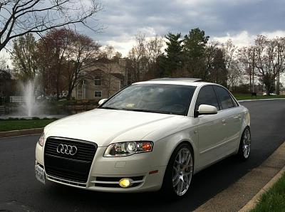 B7 a4 hood and trunk-christina-2.jpg