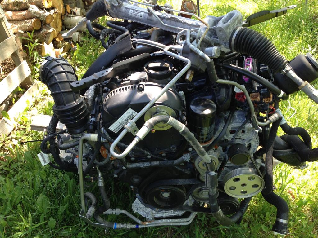 Name:  IMG_1959.jpg
Views: 370
Size:  179.3 KB