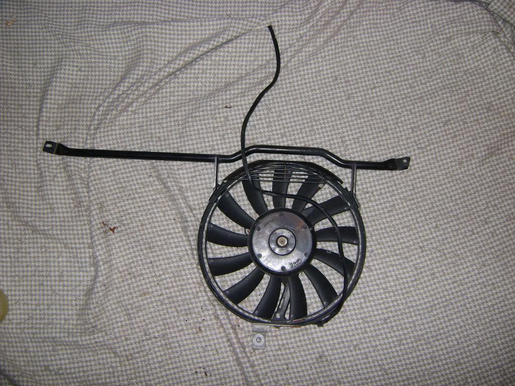 Name:  DSC05593.jpg
Views: 246
Size:  255.6 KB