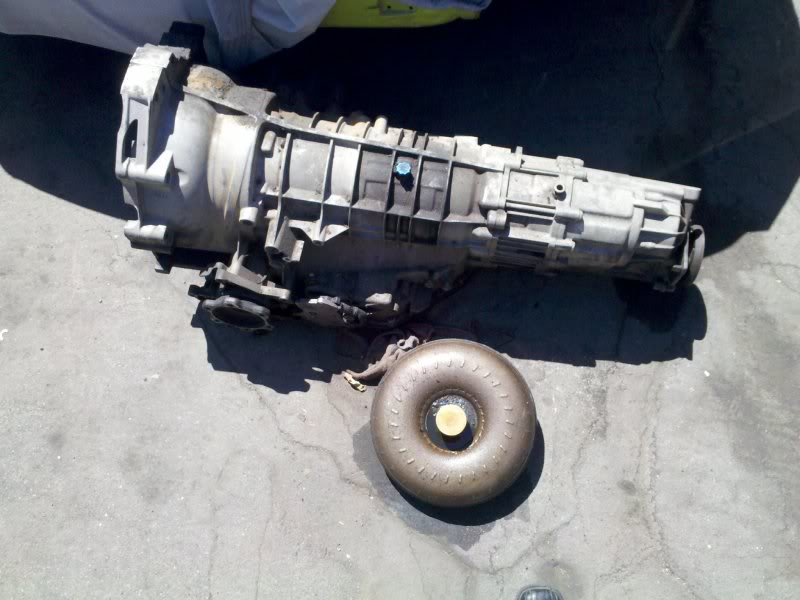 Name:  2010-09-01-113509.jpg
Views: 172
Size:  86.6 KB