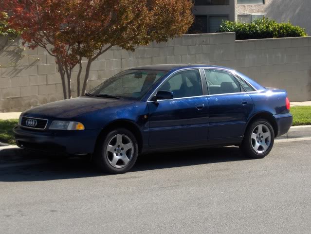 Name:  GradysPictures001-2.jpg
Views: 20
Size:  82.9 KB