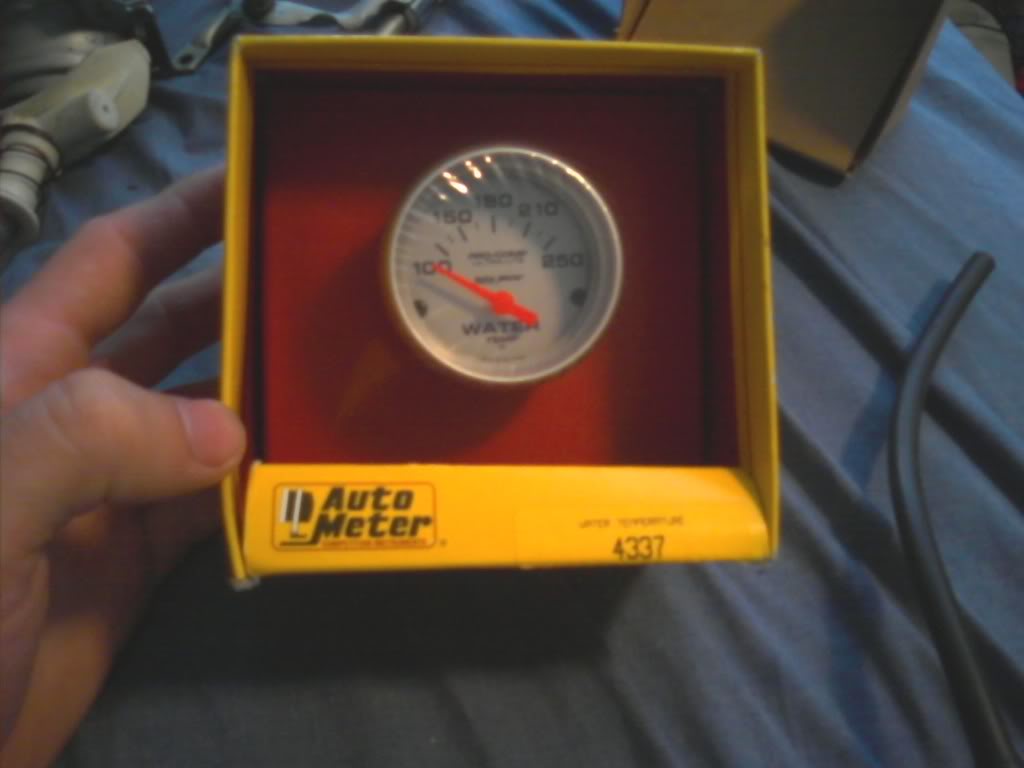 Name:  0804081243a.jpg
Views: 19
Size:  45.0 KB