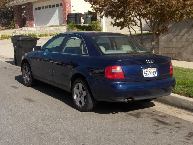 Name:  GradysPictures002-2.jpg
Views: 35
Size:  91.1 KB