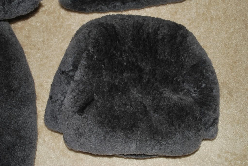 Name:  DSC_0700.jpg
Views: 21
Size:  171.7 KB