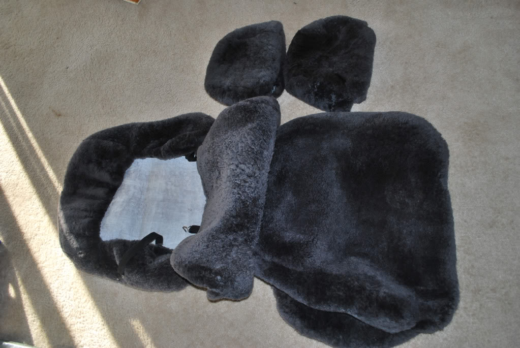 Name:  DSC_0698.jpg
Views: 20
Size:  156.9 KB