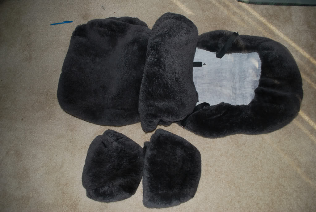 Name:  DSC_0697.jpg
Views: 17
Size:  145.1 KB