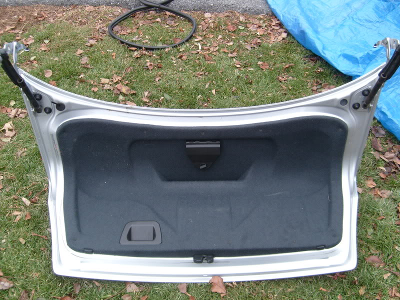 Name:  S7300219.jpg
Views: 75
Size:  155.7 KB