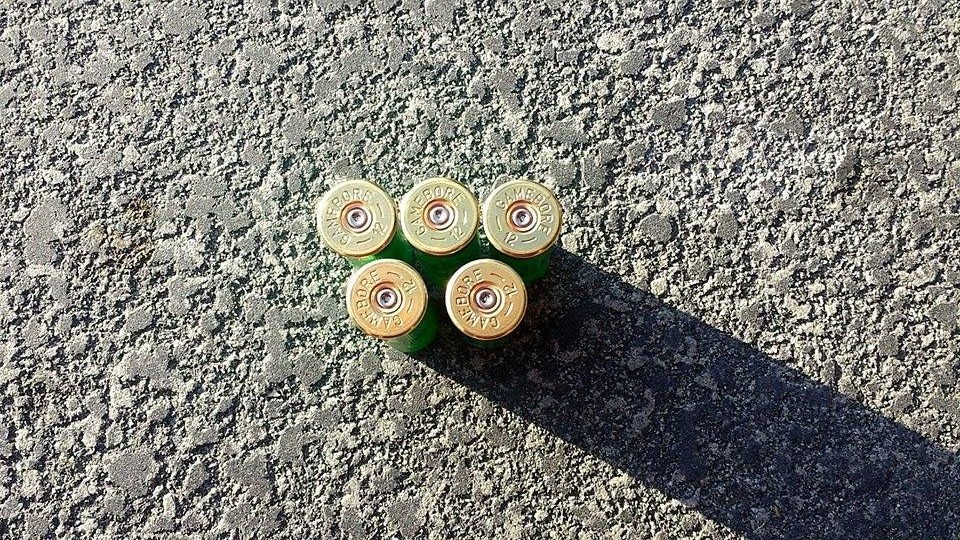 Name:  10706600_10152710560636955_590512012_n_zpse8765961.jpg
Views: 316
Size:  383.9 KB