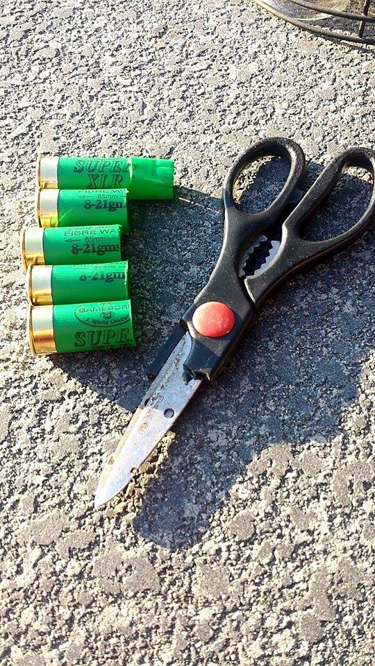 Name:  10708214_10152710569291955_888123637_n_zpsdb88d63d.jpg
Views: 374
Size:  175.8 KB