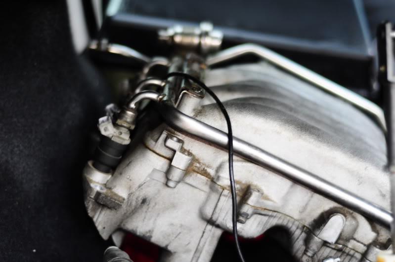 Name:  _DSC1912.jpg
Views: 106
Size:  52.6 KB