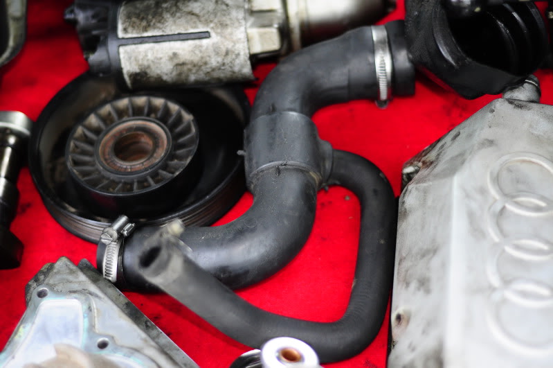 Name:  _DSC1900.jpg
Views: 156
Size:  69.0 KB