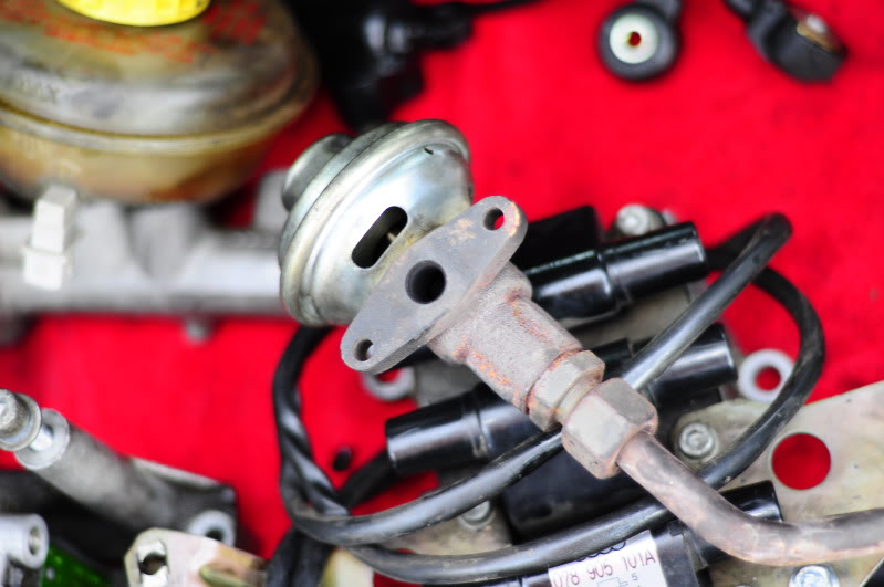 Name:  _DSC1892.jpg
Views: 111
Size:  69.6 KB