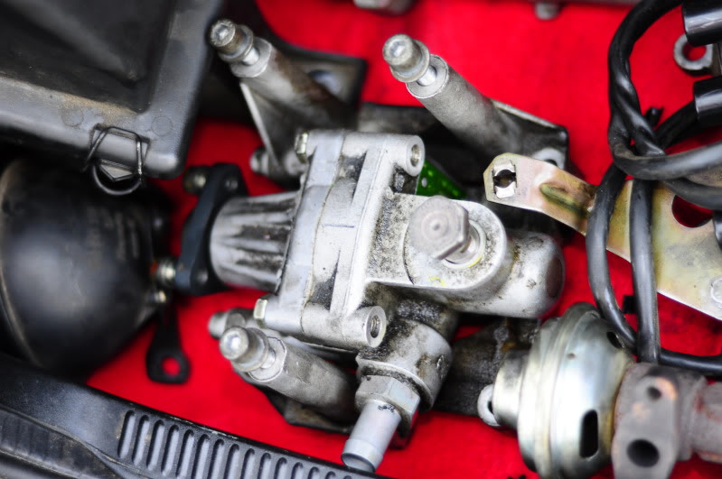 Name:  _DSC1893.jpg
Views: 145
Size:  84.3 KB