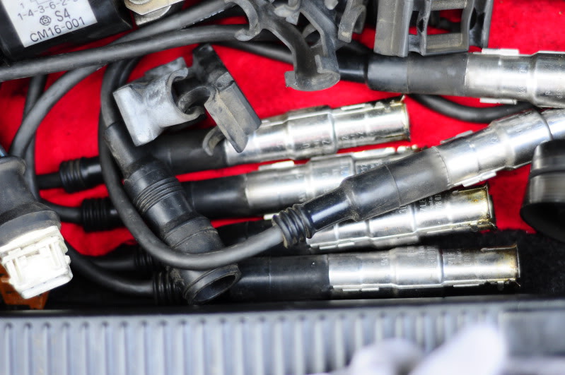 Name:  _DSC1895.jpg
Views: 153
Size:  85.8 KB