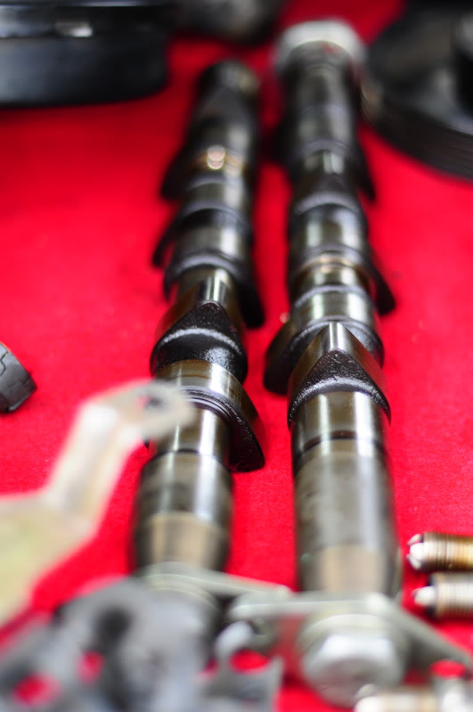 Name:  _DSC1896.jpg
Views: 72
Size:  58.2 KB