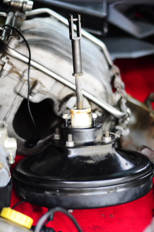 Name:  _DSC1898.jpg
Views: 137
Size:  64.9 KB