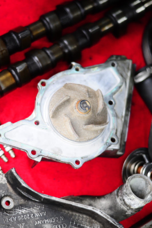 Name:  _DSC1899.jpg
Views: 108
Size:  71.9 KB