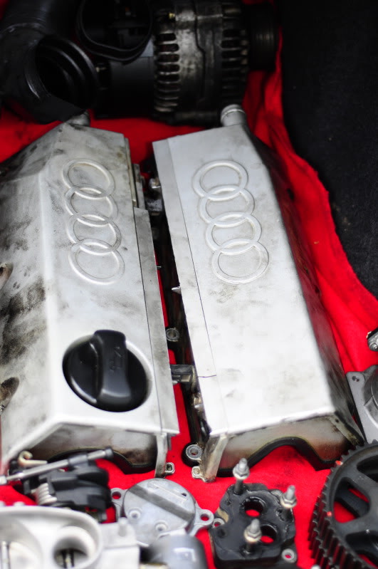 Name:  _DSC1902.jpg
Views: 112
Size:  75.3 KB