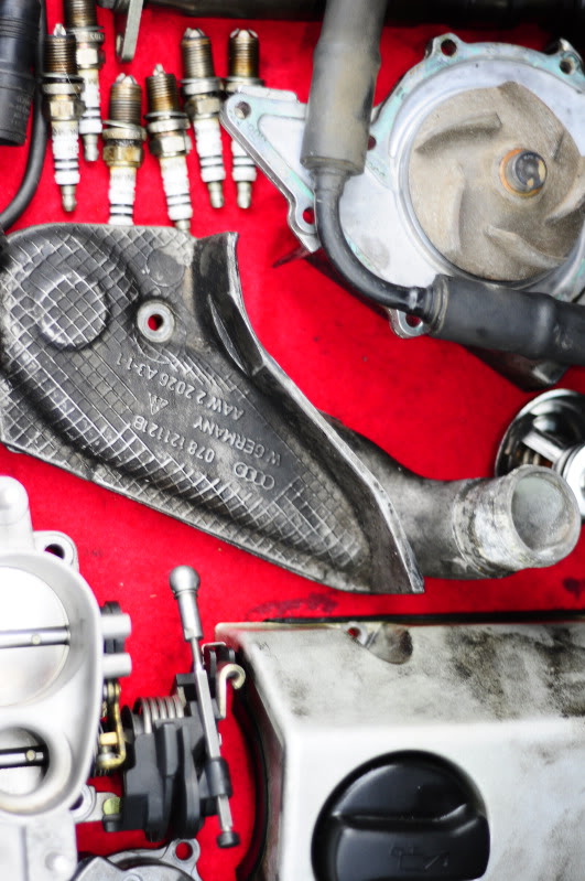 Name:  _DSC1903.jpg
Views: 70
Size:  109.2 KB