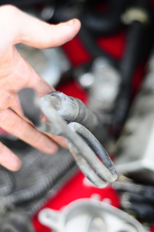 Name:  _DSC1904.jpg
Views: 78
Size:  46.0 KB