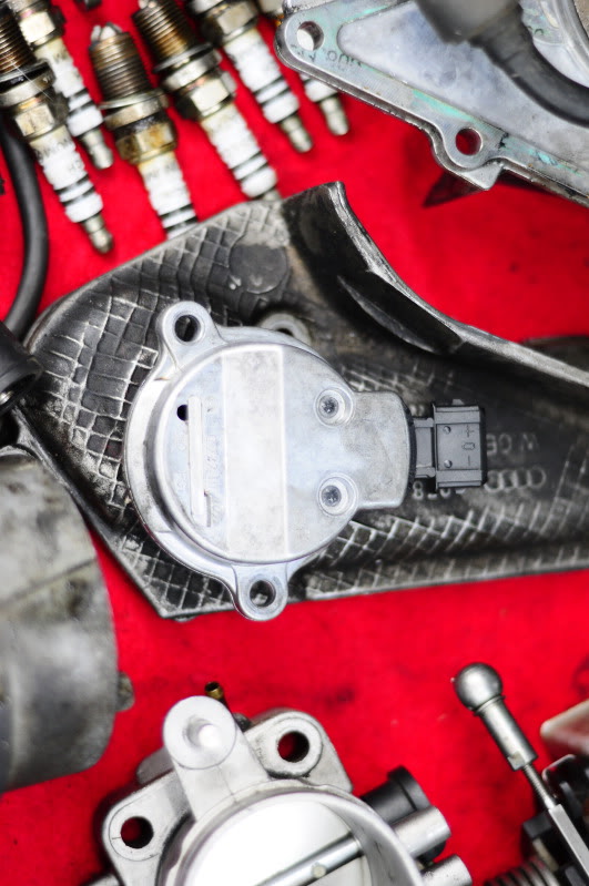 Name:  _DSC1905.jpg
Views: 89
Size:  94.5 KB