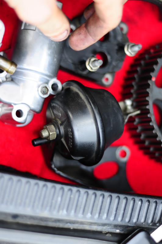 Name:  _DSC1908.jpg
Views: 154
Size:  66.9 KB