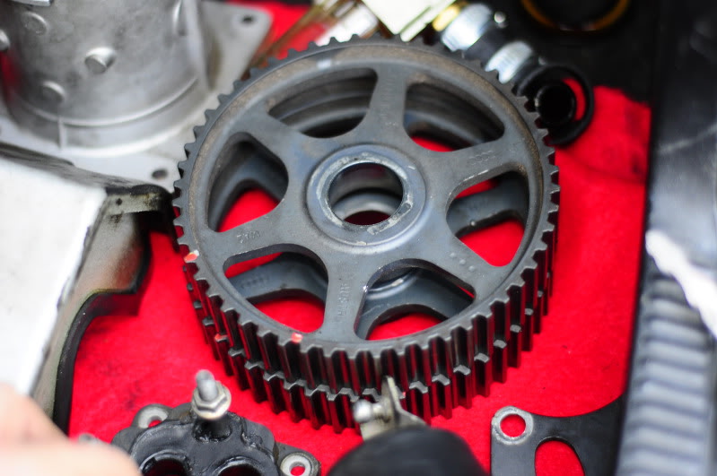 Name:  _DSC1909.jpg
Views: 104
Size:  78.0 KB