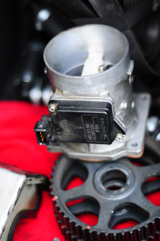 Name:  _DSC1910.jpg
Views: 155
Size:  60.1 KB