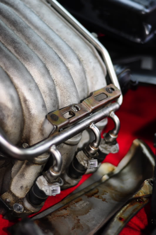 Name:  _DSC1911.jpg
Views: 141
Size:  72.6 KB