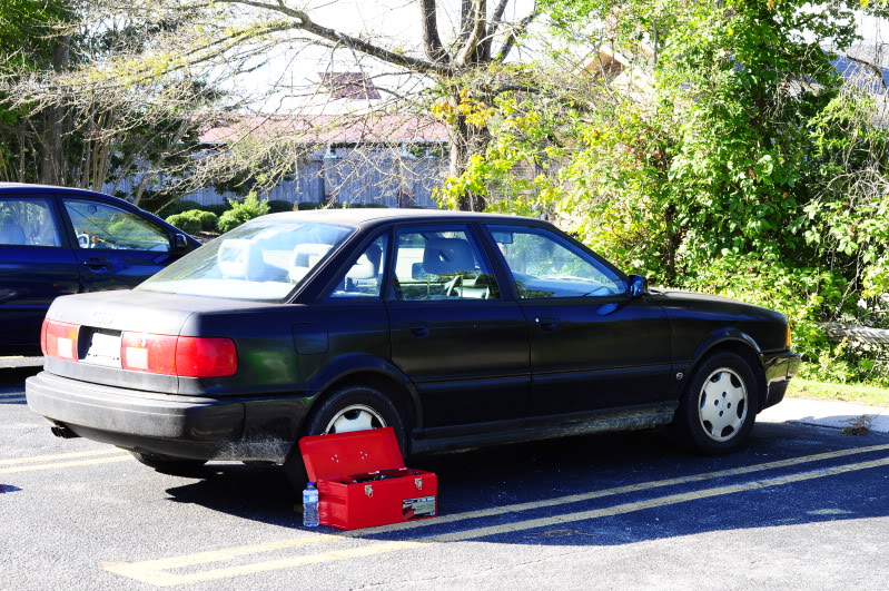 Name:  _DSC1846.jpg
Views: 146
Size:  195.3 KB