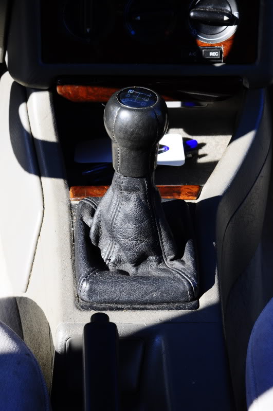 Name:  _DSC1859.jpg
Views: 130
Size:  68.8 KB