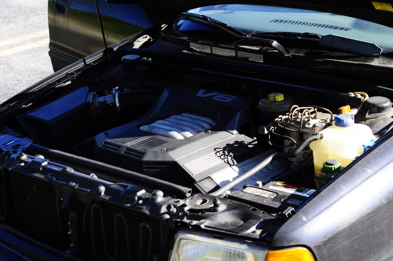 Name:  _DSC1875.jpg
Views: 156
Size:  90.8 KB