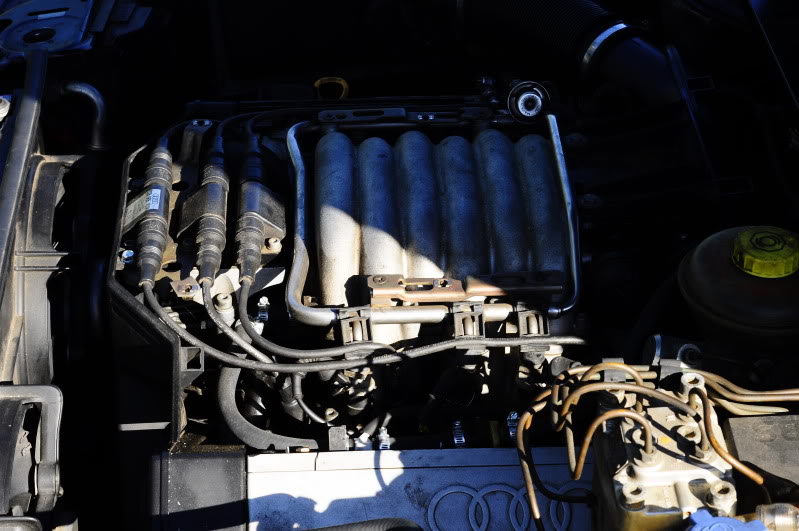 Name:  _DSC1877.jpg
Views: 147
Size:  84.2 KB