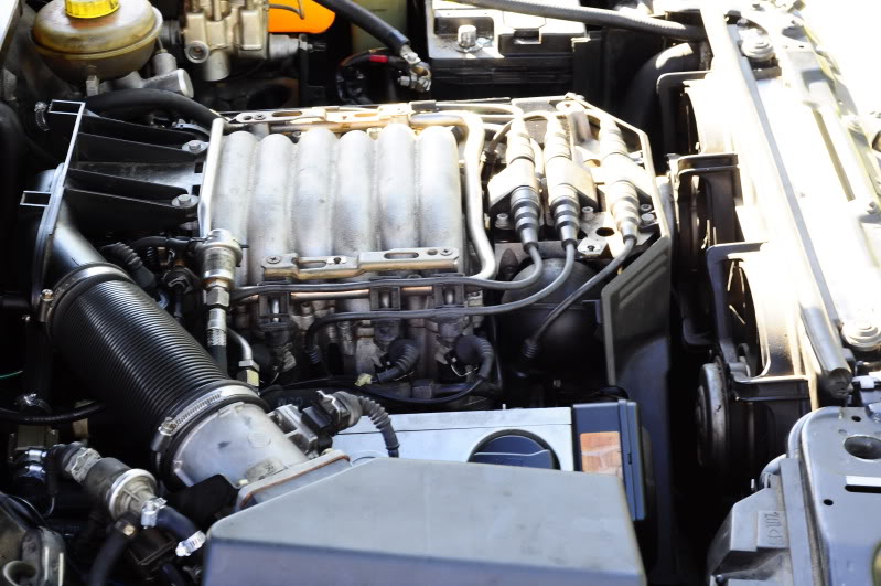 Name:  _DSC1881.jpg
Views: 156
Size:  90.9 KB