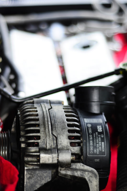 Name:  _DSC1886.jpg
Views: 127
Size:  67.8 KB