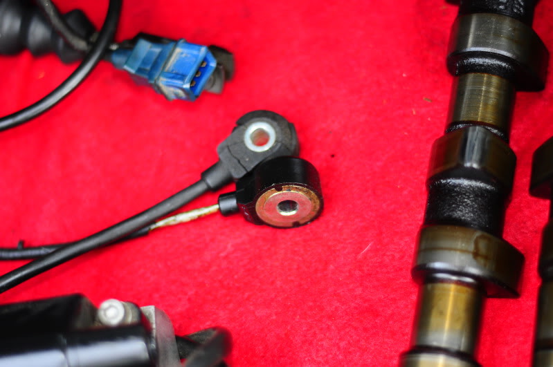 Name:  _DSC1888.jpg
Views: 175
Size:  75.0 KB