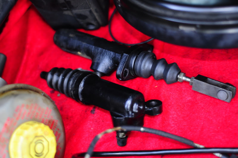 Name:  _DSC1889.jpg
Views: 109
Size:  76.9 KB