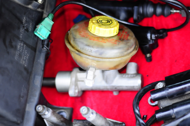 Name:  _DSC1890.jpg
Views: 163
Size:  75.7 KB