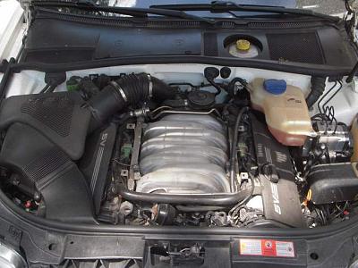 2000 Audi A6 4.2L Pearl White Quattro-1-a6engine.jpg