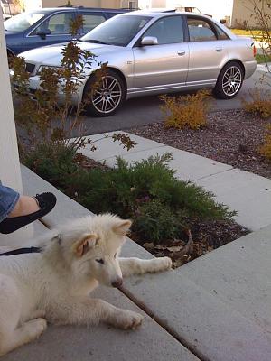 2001 Silver S4 FS-picture-007.jpg