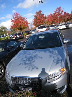 2008 Audi A4 2.0T Quattro-car_2.jpg