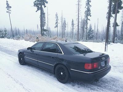 2003 A8L Available-12079288_10207841040294861_6459243156282656283_n.jpg