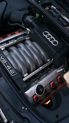 Clean low mileage B6 S4 for sale 95-img_4258.jpg