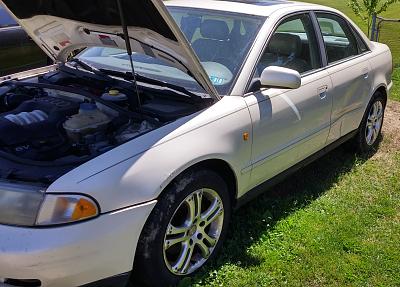 Parting Out 1998.5 Audi A4-0613161525_hdr.jpg