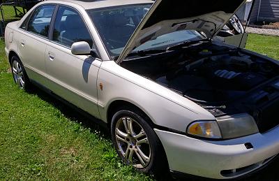 Parting Out 1998.5 Audi A4-0613161524a_hdr.jpg