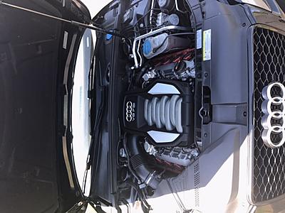 2011 S5 4.2L V8 6spd Manual-img_7410.jpg