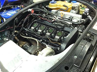 1997 Cactus Green BAT Build (Chipped Crank Pulley)-engine-bay.jpg